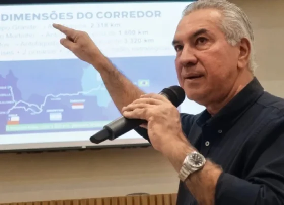 Reinaldo Azambuja defendeu integração aduaneira e segurança jurídica para a Rota Bioceânica - Foto: Divulgação