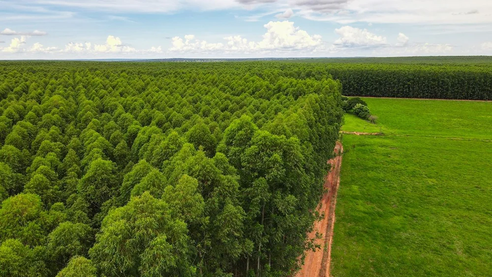 Eldorado Brasil abre vagas para operadores em Selvíria e Ilha Solteira