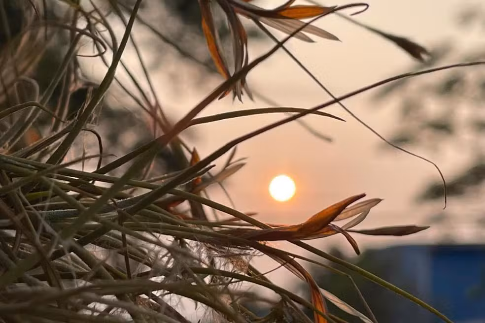 Veranico eleva temperaturas e pode levar termômetros a 38°C em MS