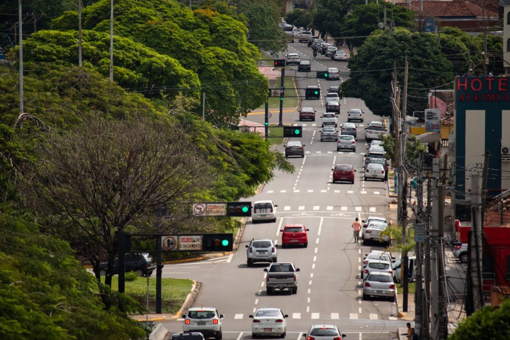 Campo Grande plantou 9.429 mudas de árvores em 2025 - Foto: CG Notícias