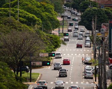 Campo Grande plantou 9.429 mudas de árvores em 2025 - Foto: CG Notícias