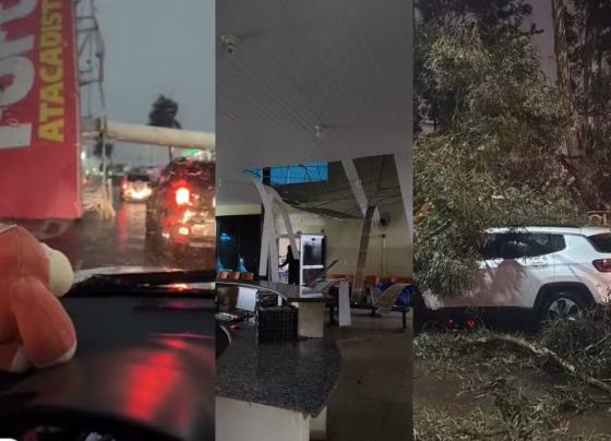 Temporal provocou queda de árvores e complicou o trânsito em diferentes pontos de Campo Grande - Foto: Reproducao