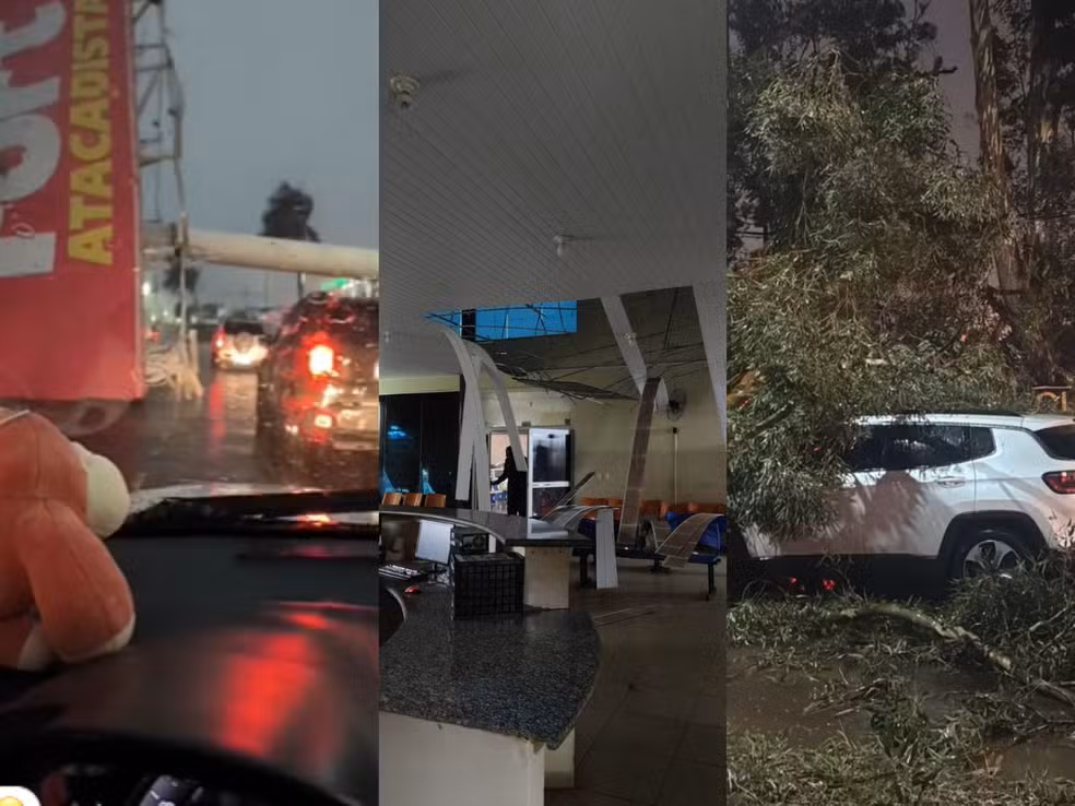 Temporal derruba árvores, provoca granizo e complica trânsito em Campo Grande