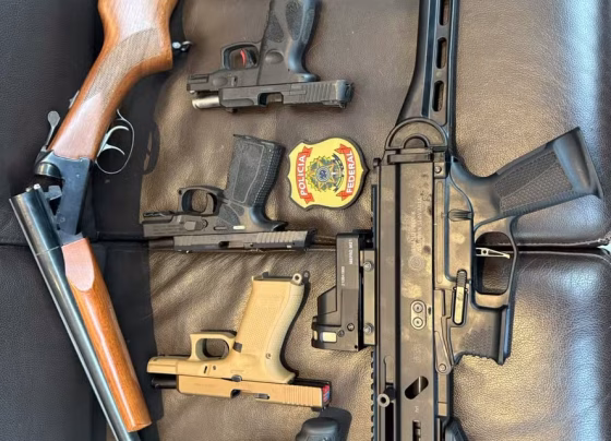 Polícia Federal apreendeu sete armas registradas em nome do deputado Mario Frias durante operação - Foto: Divulgação