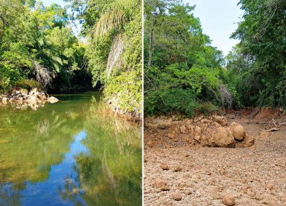 Mesmo trecho do Rio da Prata secou completamente em apenas quatro dias durante a estiagem em Jardim - Foto: Nisroque Soares Junior