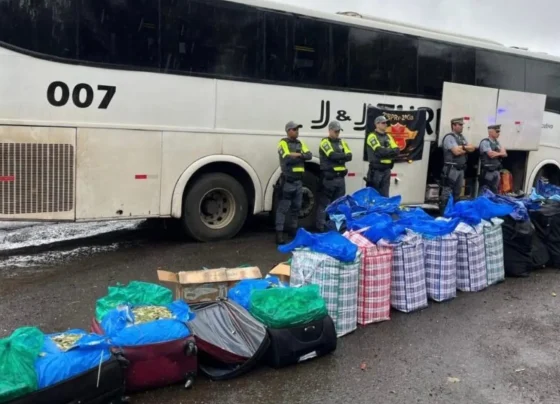 Ônibus que saiu de Corumbá foi apreendido com 746,8 quilos de folhas de coca em São Paulo - Foto: Reprodução/Diário de Prudente