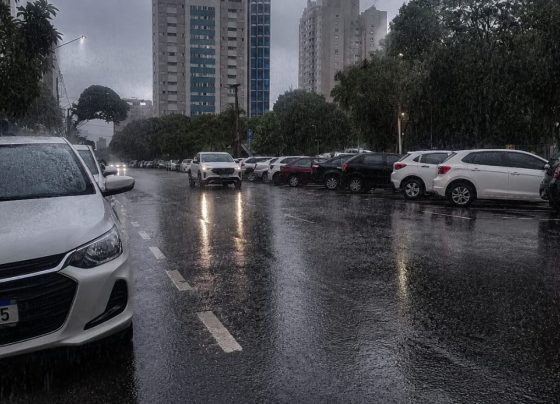 Campo Grande terá alerta para rajadas de vento de até 60 km/h entre sexta e sábado - Foto: CG Notícias
