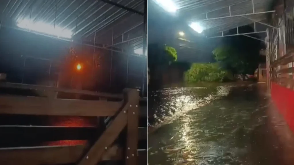 Árvore caiu no cruzamento da Rua 15 de Novembro com a Rua Rio Grande do Sul durante o temporal - Foto: Reproducao