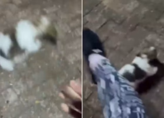 Gabriela Cervantes foi presa após vídeos mostrarem agressões contra uma filhote de shih-tzu - Foto: Redes Sociais/Reprodução