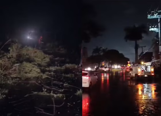 Temporal provocado por frente fria derrubou árvores e postes em cidades de Mato Grosso do Sul - Foto: Reprodução