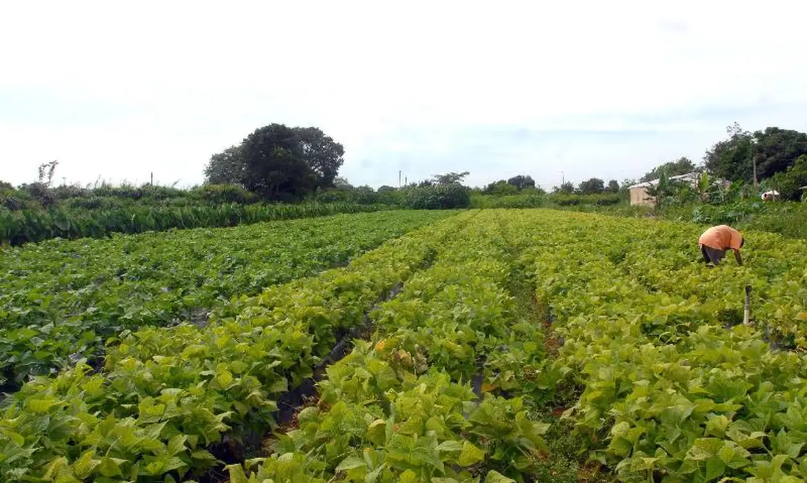Governo federal destina R$ 64,3 milhões para fome e indígenas