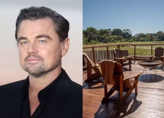 Leonardo DiCaprio visita iniciativas de conservação da fauna e flora no Pantanal de Mato Grosso do Sul - Foto: Reprodução