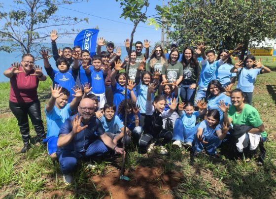 Plantio de árvores aproxima estudantes da natureza