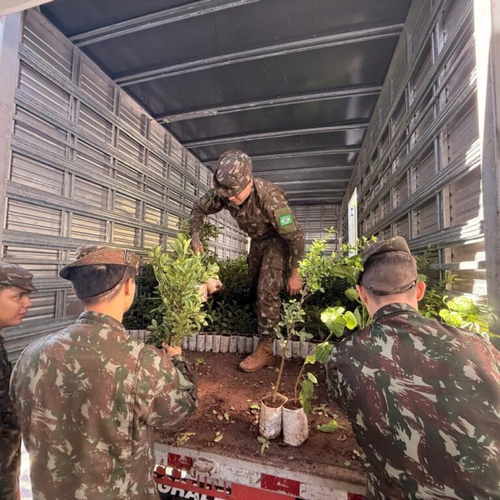 População chega cedo para garantir mudas frutíferas na Capital