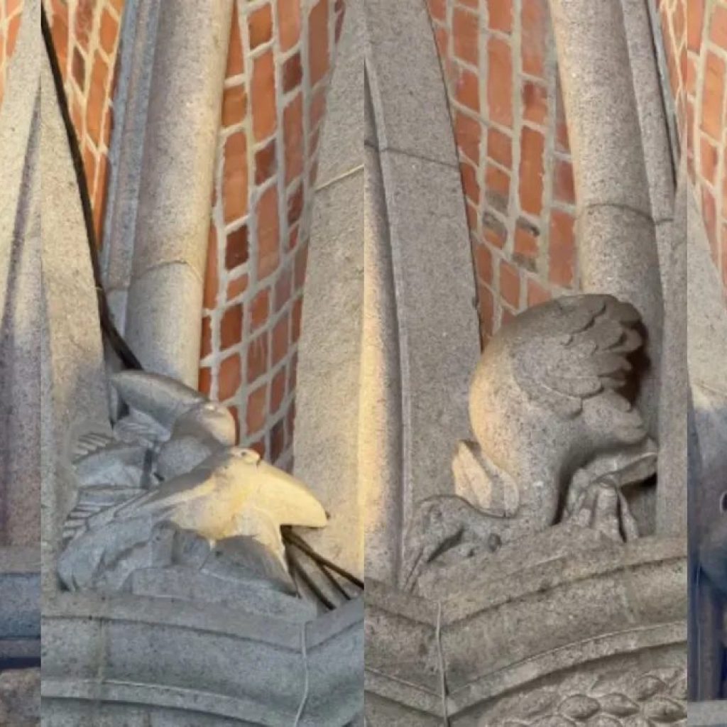 Tatu, tucano e até sapo; por que a Catedral da Sé em São Paulo possui esculturas de animais escondidas em toda a sua estrutura?