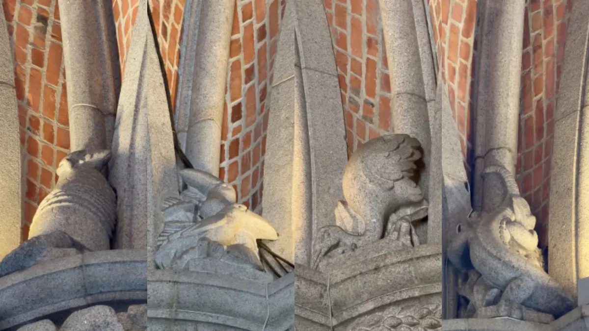 Catedral da Sé esconde animais da fauna brasileira em sua arquitetura