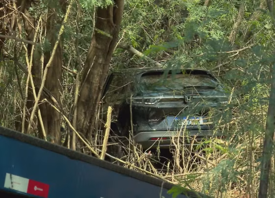 Carro ficou em uma área de vegetação após motorista fugir de acidente em Campo Grande - Foto: William Guedes