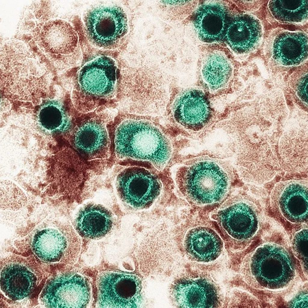 1 em cada 8 casos de câncer provavelmente é causado por infecções, diz estudo