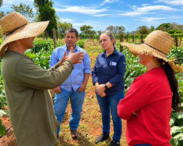 Aginaldo de Lima Oliveira e Isabel Leite Beline cultivam diferentes hortaliças e frutas em propriedade de 4,5 hectares - Foto: Divulgação/Ceasa-MS