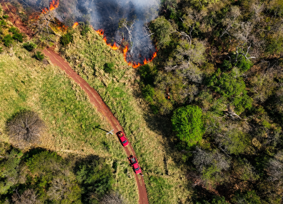Corpo de Bombeiros mantém equipes em campo para prevenção e combate aos incêndios florestais em Mato Grosso do Sul - Foto: CBMMS