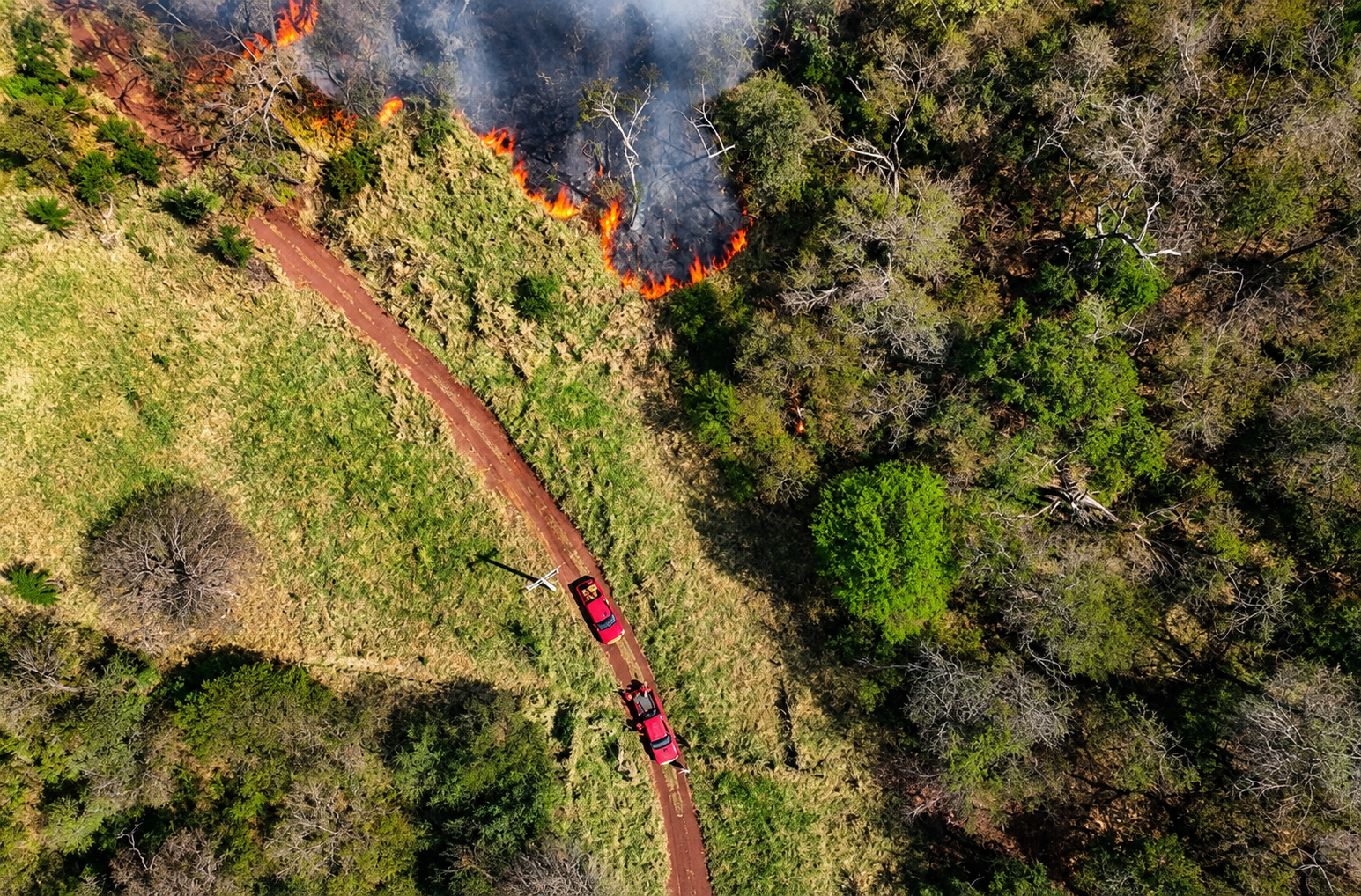 MS mantém prevenção a incêndios diante de calor e influência do El Niño