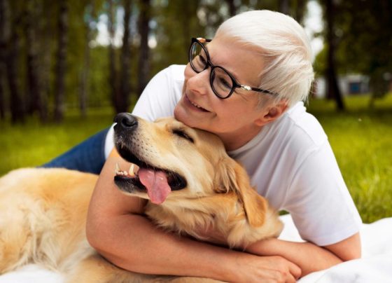 71% dos tutores na terceira idade aproveitam mais a vida: como cães e gatos viraram os maiores aliados de quem envelhece sem companhia