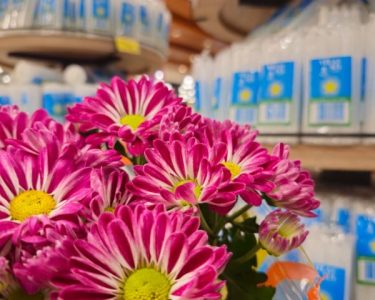 Flores e velas para o Dia de Finados apresentam grande diferença de preços em Campo Grande - Foto: Kleber Clajus/Procon-MS