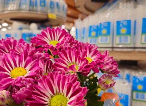 Flores e velas para o Dia de Finados apresentam grande diferença de preços em Campo Grande - Foto: Kleber Clajus/Procon-MS