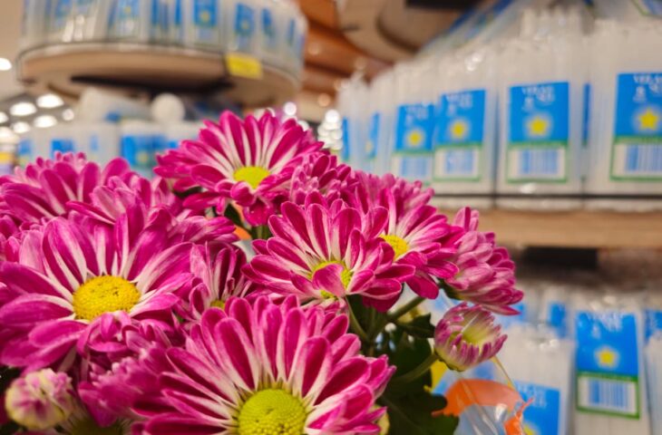 Finados: flores e velas têm variação de mais de 200% em Campo Grande