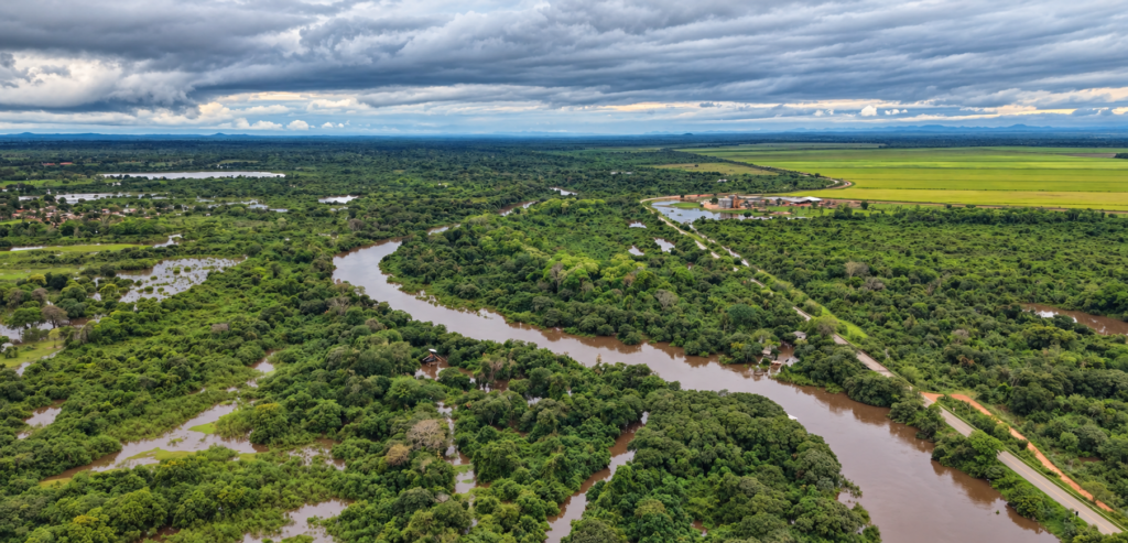 Rio Miranda recebeu alerta de cheia na semana passada (Foto: Ricardo Campos Jr)