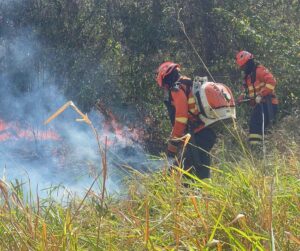 Operação Pantanal 2026 mantém ações de prevenção contra incêndios na região pantaneira - Foto: CBMMS