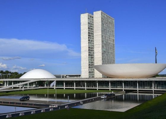 Advogados, médicos: as profissões que predominam entre eleitos ao Congresso