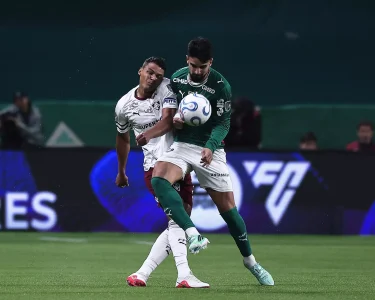 Palmeiras avança à final da Libertadores após vencer o Fluminense nos pênaltis - Foto: Ettore Chiereguini/AGIF