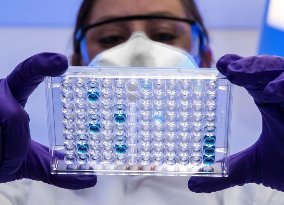 Amiloidose hereditária: consulta pública discute tratamento no SUS