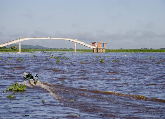 Corumbá recebe Workshop Turismo de Pesca Esportiva em Mato Grosso do Sul em novembro