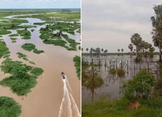 Rio Miranda chegou a 6,61 metros e ultrapassou a cota de alerta em Mato Grosso do Sul - Foto: Reprodução