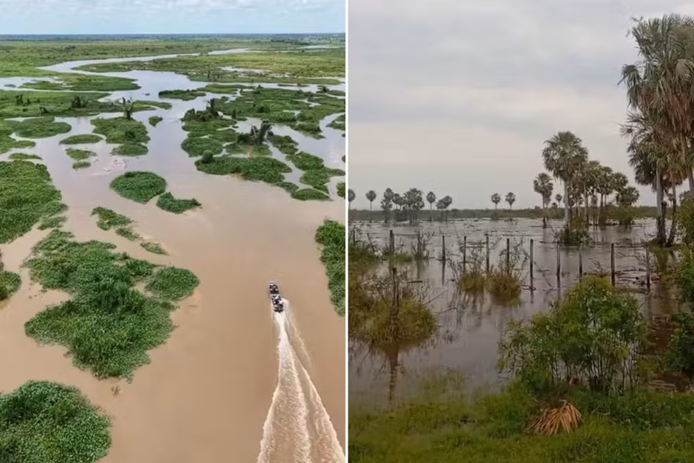 Rio Miranda supera cota de alerta e sobe 4,7 metros acima da média em MS