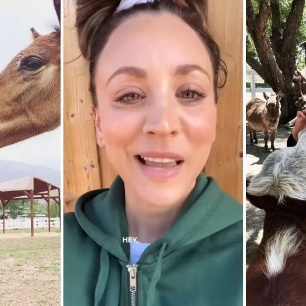 Estrela de Big Bang Theory, Kaley Cuoco comprou rancho para praticar hipismo e o transformou em santuário para mais de 100 animais resgatados