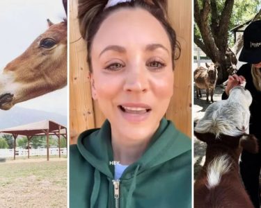 Estrela de Big Bang Theory, Kaley Cuoco comprou rancho para praticar hipismo e o transformou em santuário para mais de 100 animais resgatados