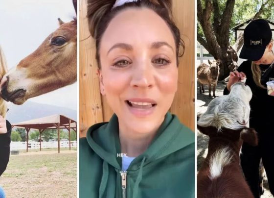 Estrela de Big Bang Theory, Kaley Cuoco comprou rancho para praticar hipismo e o transformou em santuário para mais de 100 animais resgatados