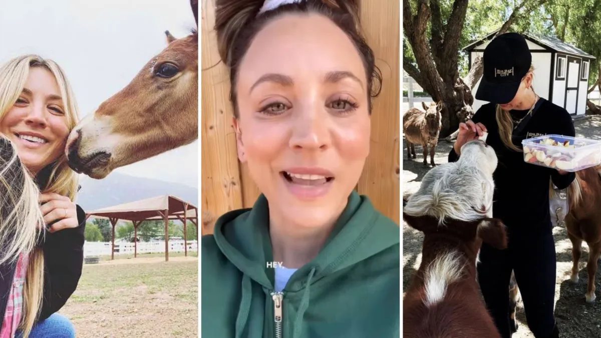 Estrela de ‘The Big Bang Theory’ transforma rancho em santuário animal