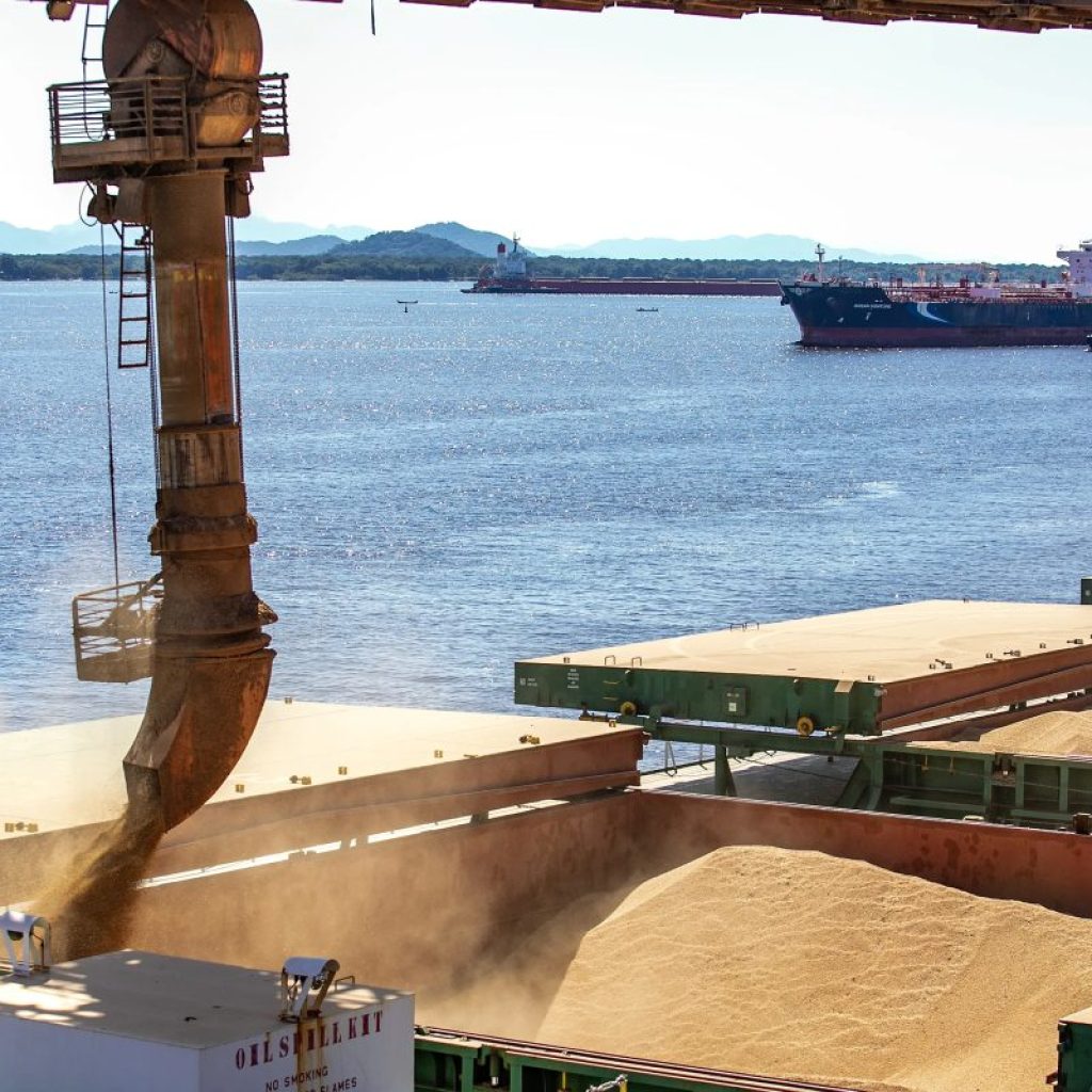 Exportação de soja em 2026 deve atingir recorde de 114 milhões de toneladas, diz Anec