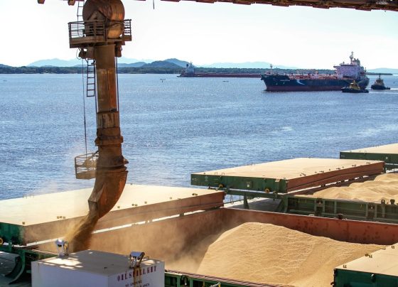 Exportação de soja em 2026 deve atingir recorde de 114 milhões de toneladas, diz Anec