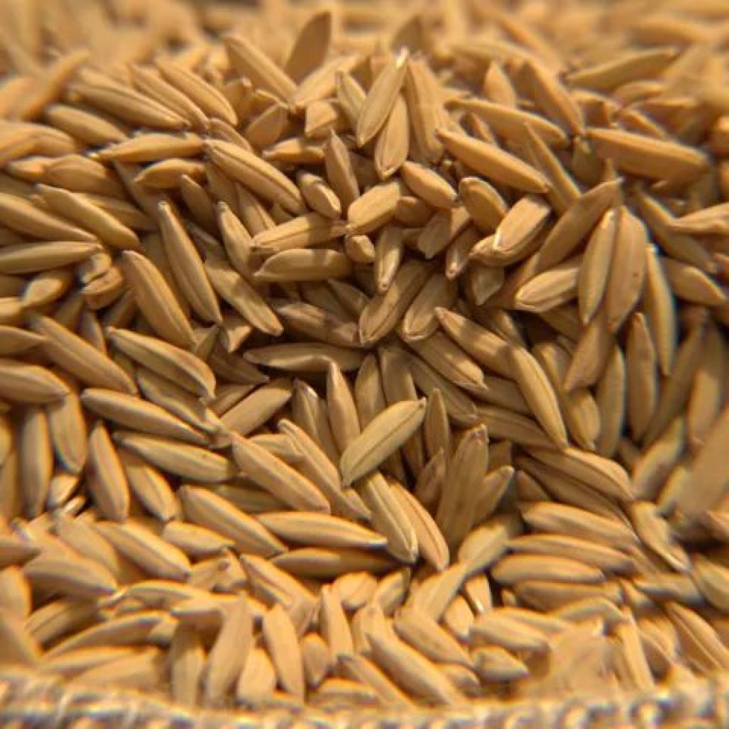Exportações brasileiras de arroz cresceram 3,3% no terceiro trimestre