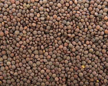 Farinha de lentilha: descubra os benefícios dessa opção para receitas veganas
