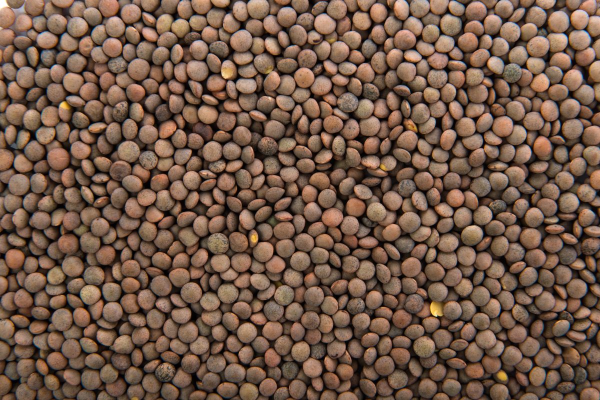 Farinha de lentilha: conheça os benefícios e usos na culinária