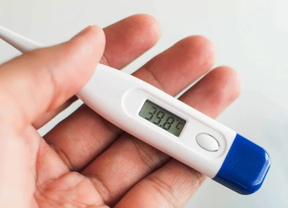 Febre após vacina pode ter relação com microbioma intestinal, sugere estudo