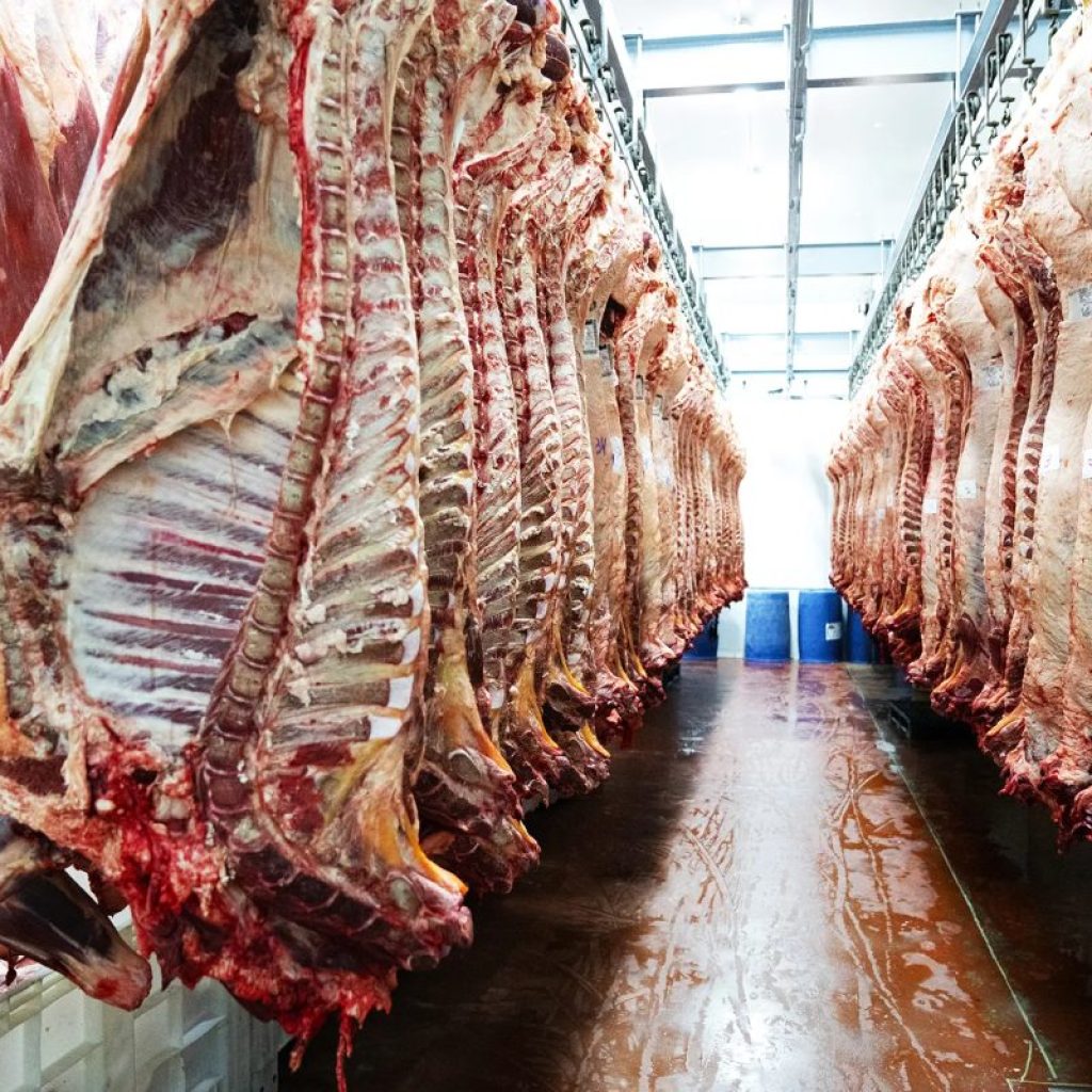 Frigoríficos movimentam R$ 63,3 bilhões no mercado de capitais, diz estudo