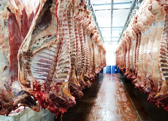 Frigoríficos movimentam R$ 63,3 bilhões no mercado de capitais, diz estudo