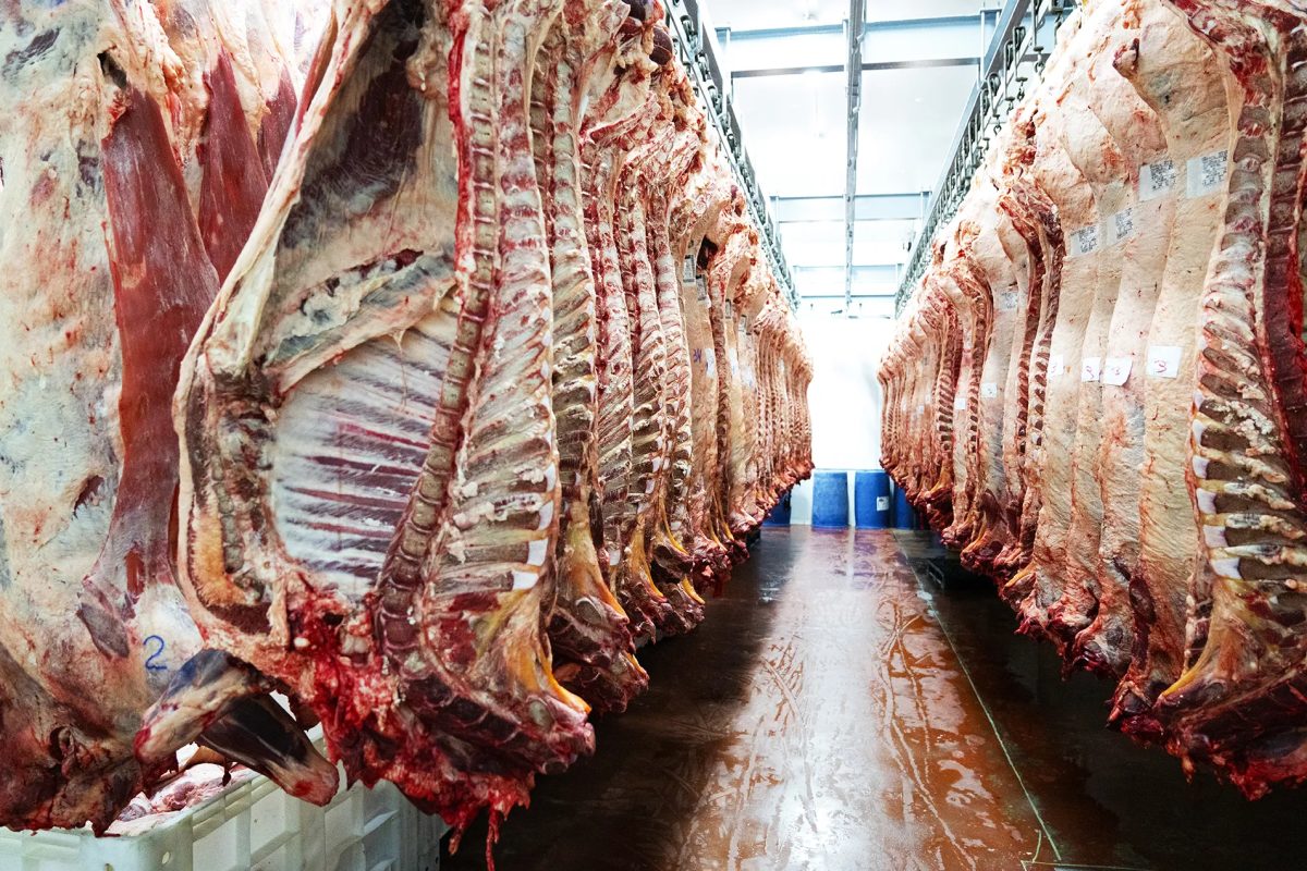 Frigoríficos brasileiros movimentam R$ 63 bi no mercado financeiro